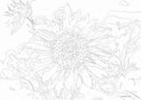 Zahlen Nach Sonnenblumen Datei sketch template