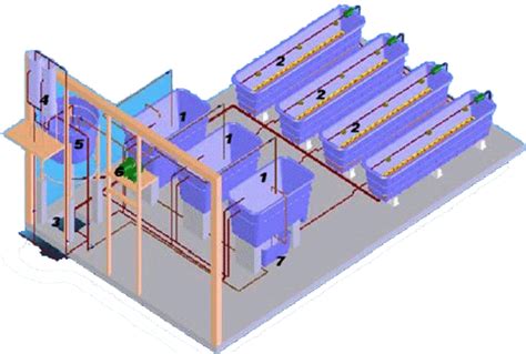layout  prototype  aquaponic recirculating system