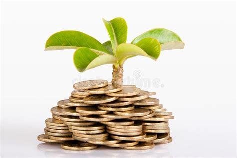 Money Under Trees Or Plant Pile Of Money Indian Coin Isolated On
