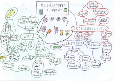 science mind map