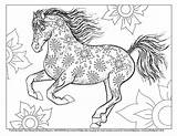 Horse Coloring Pages Princess Beautiful Getcolorings Colo Getdrawings sketch template