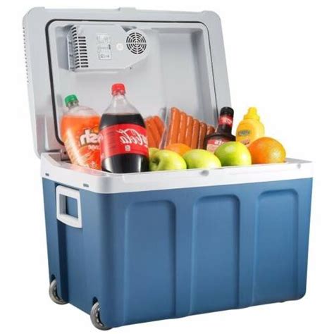 Knox 48 Quart Electric Cooler Warmer With Built
