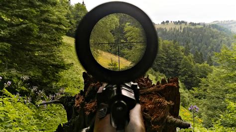 gun scopes  sights   invest  gun carrier