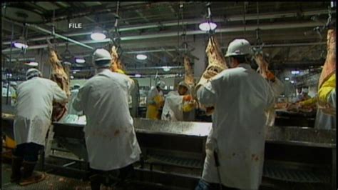 Video Massive Meat Recall Abc News