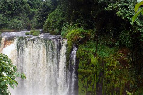 le guide pour bien voyager au gabon easyvoyage