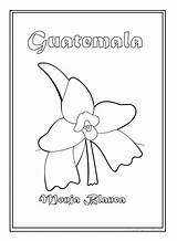 Guatemala Coloring Flag Para Colorear Monja Blanca Flower Pages National Dibujos Patrios Simbolos Nun Symbol Color Bandera Getcolorings Simbolo Niños sketch template