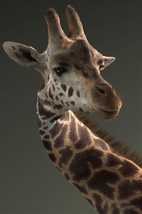 animals  ar giraffe idalias salon