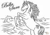 Bella Coloring Sara Pages Native Lights Pegasus Printable Popular Drawing Categories sketch template