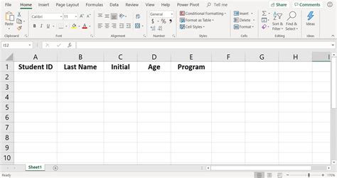 Excel Data Entry Form