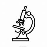 Microscopio Microscope Mikroskop Microscopios Miscroscopio Siluetas Fotografi Celula Biologia Vegetal Ultracoloringpages Transparentes Kaligrafi Siluet Lineas 2459 sketch template