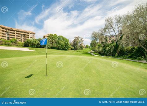 golfvlag  gat bij golfcursus stock foto image  land oefening