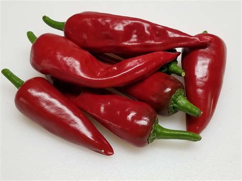 red hot chili peppers pimientos rellenos chiles rojos picantes aji my