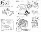 Lipids Coloring Biomolecules Sheet Biology Teacherspayteachers Ap Sketch Macromolecules Science Template Pages Teaching Notes sketch template