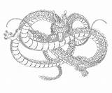 Shenron Coloring Pages Character Another Printable sketch template