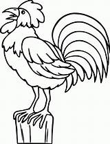 Ayam Jantan Mewarnai Berkokok Diwarnai Loh Diatas Siap Silahkan Ukuran Ada sketch template