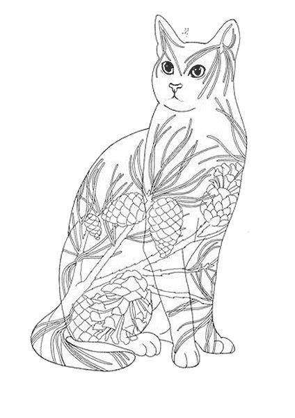 black  white drawings  colour cat coloring page black  white
