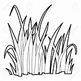 Grass Outline Clipart Drawing Line Icon Vector Drawings Style Clipground Pic Paintingvalley Similar sketch template