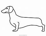 Bassotto Dachshund Cane Ultracoloringpages sketch template