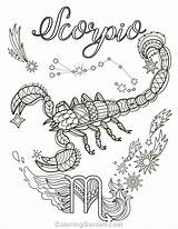 Scorpio Sternzeichen Skorpion Ausdrucken Malvorlagen Coloriages Ausmalen Erwachsene Mandalas Libra Horoskop Astrology Adultes Aileen Fischer sketch template