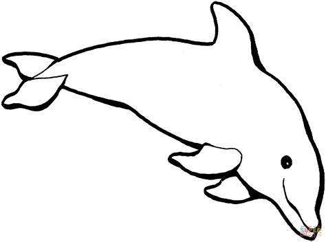 skuttande delfin malarbok gratis malarbilder att skriva ut