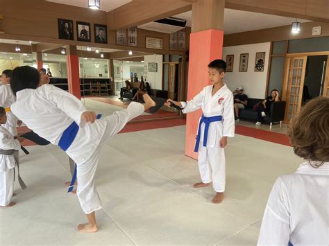 Aula De Karate Para Crianças E Adolescente Cotia São Paulo