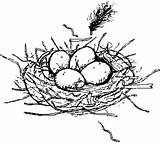 Nest Bird Eggs Coloring Pages Drawing Color Egg Quotes Sketch Getdrawings Place Helpful Non sketch template