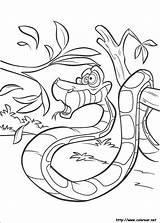 Selva Libro Colorear Snake Kaa sketch template