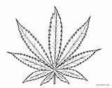 Leaf Coloring Pages Weed Marijuana Cannabis Printable Template Print Cool2bkids Popular Kids Sketch Large sketch template