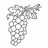 Grapes Coloring Lovely Pages Leaf Grape Printable Drawing Getdrawings Doll Ones Little sketch template