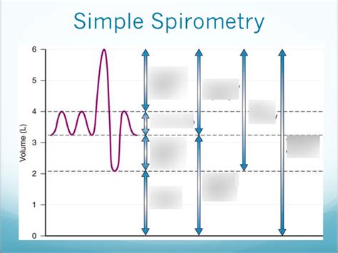 spirometry graph labeled diagram quizlet