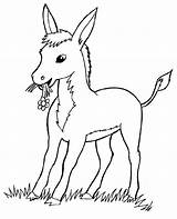 Ane Ferme Donkey âne Anes Coloriages Colorier Anon Anesse ânes Plaisir sketch template