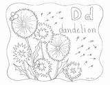 Coloring Dandelion Pages Dice Getcolorings Getdrawings sketch template