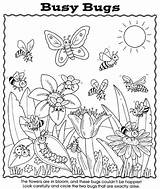 Coloring Bugs Pages Bug Busy Preschool Kids Worksheet Lightning Nature Insect Spider Garden Sheets Color Cute Dover Printable Publications Activity sketch template