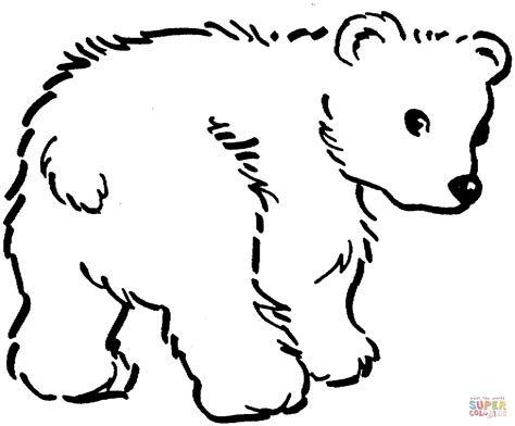 cute brown bear cub coloring page  printable coloring pages