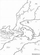 Polar Ijsbeer Lars Kleurplaten Ours Polaire Paisajes Orca Pintar Plume Ursinho Polare Orsetto Osito Piuma Mammals Whale Artistico Mariposas Downloaden sketch template