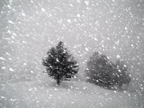 sudden snow flurry photographic print  john churchman allpostersca