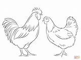 Coloring Rooster Pages Hen Printable Drawing sketch template