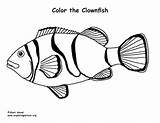 Coloring Clownfish Sponsors Wonderful Support Please sketch template