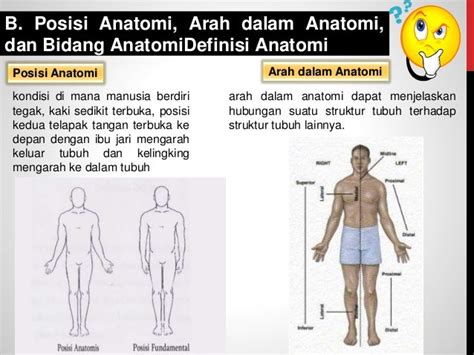anatomi tubuh  bahasa medis kleider wall