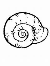 Mollusks Snail sketch template