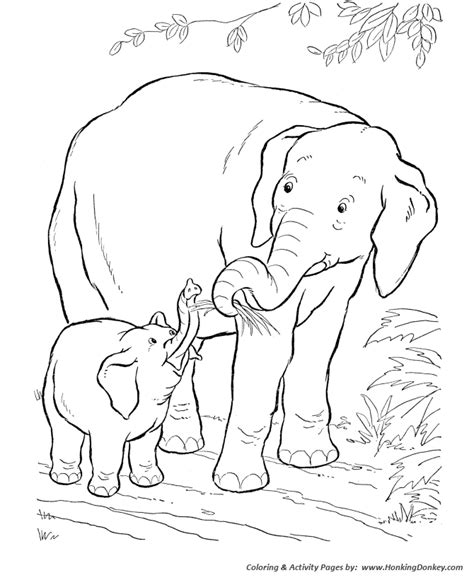 wild animal coloring pages baby elephant coloring page  kids