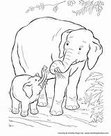 Elephant Coloring Pages Animals Baby Wild Kids Printable African Animal Mom Mother Print Drawing Sheets Colouring Elephants Activity Zoo Clipart sketch template