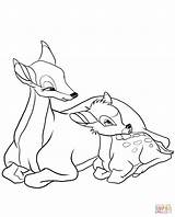 Bambi Ausmalbild Mutter Getcolorings Collegesportsmatchups sketch template