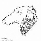 Borzoi Headstudy Coloring Color Drawings Own Pages Dog Webdesign Website sketch template