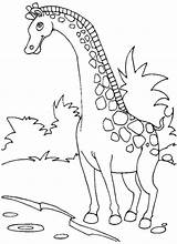 Giraffe Bestappsforkids Cartoon Stumble sketch template
