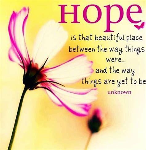Hope Quotes And Sayings Best Collection To Encourage You Cancer