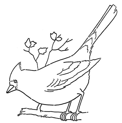 coloring pages red bird refrence  art coloring page cardinal