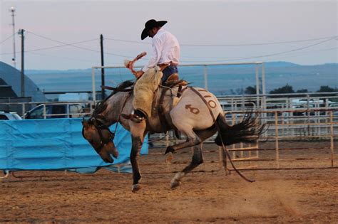 wyocowboyphotography ranch broncs