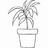 Coloring Plant Pot Leaves Sheet Designlooter Long 300px 4kb sketch template