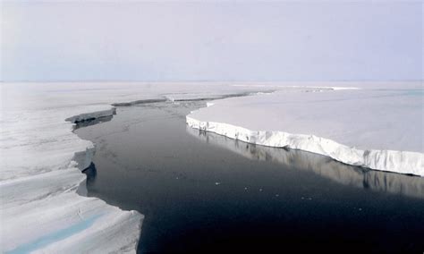 larsen  ice shelf collapse hammers home  reality  climate